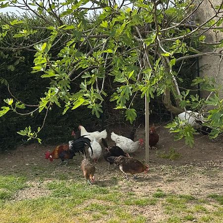 Gite A La Ferme Le Rousset 외부 사진